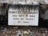 image of grave number 651128